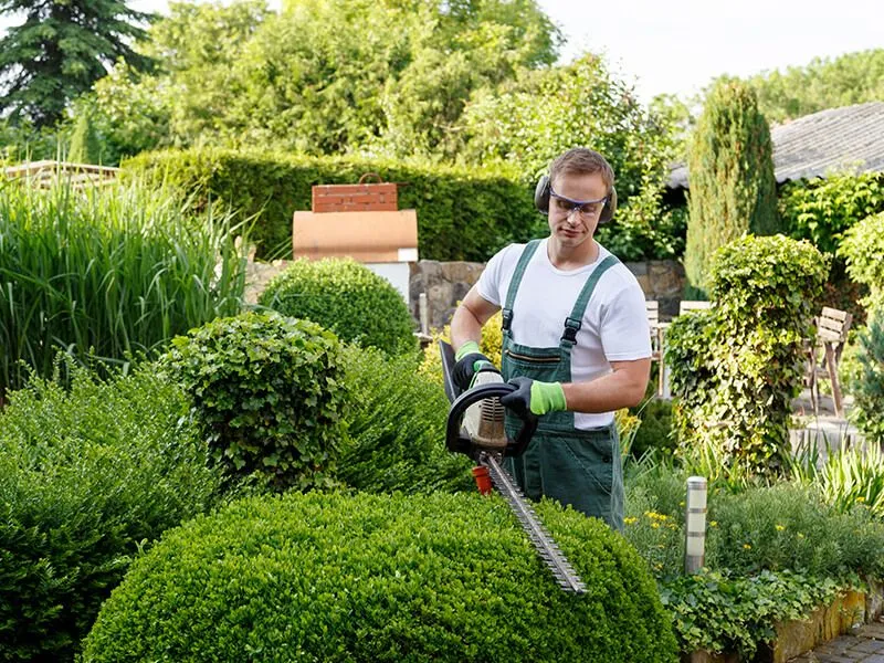 Man trimming bushes with a hedge trimmer in a lush, green garden. He wears safety glasses and earmuffs.