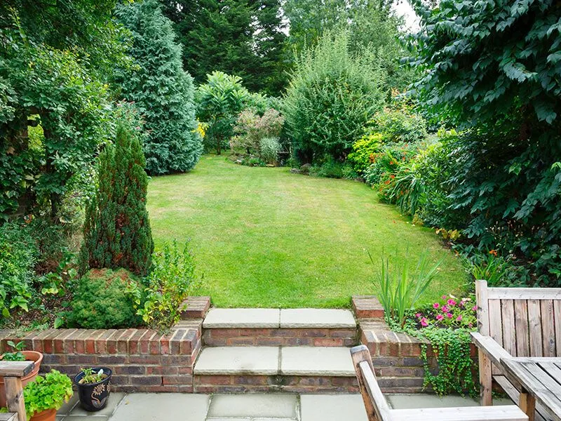 Backyard garden with steps leading to a grassy lawn, surrounded by trees and plants.