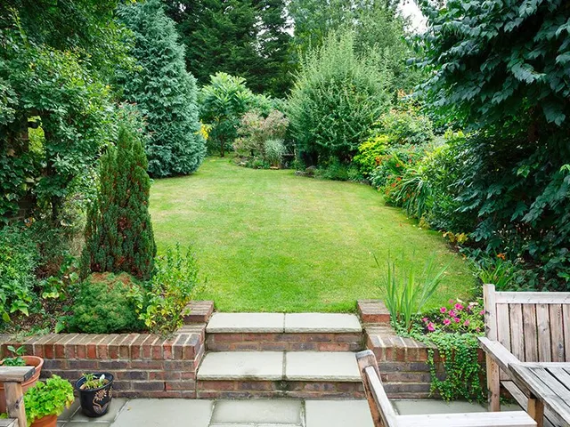 Backyard garden with steps leading to a grassy lawn, surrounded by trees and plants.