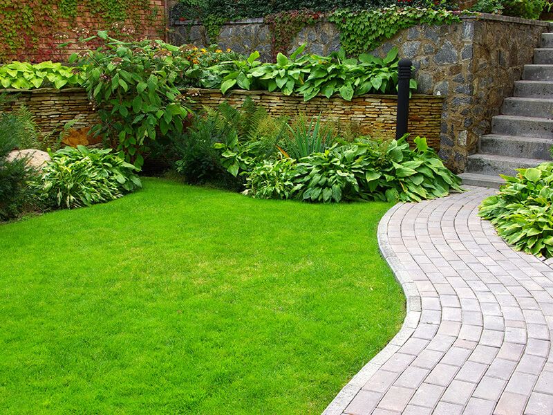 Lush green lawn with a winding stone path, bordered by plants and a stone wall with steps.