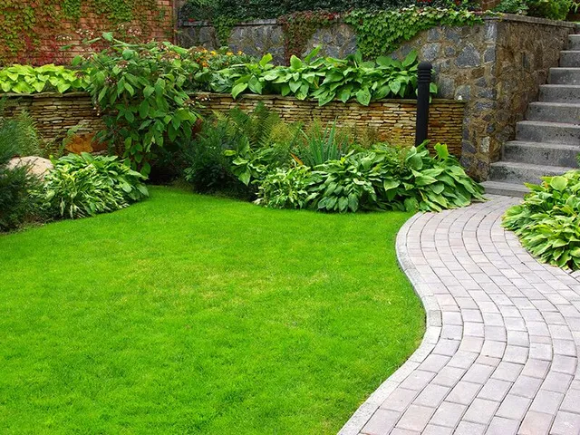 Lush green lawn with a winding stone path, bordered by plants and a stone wall with steps.
