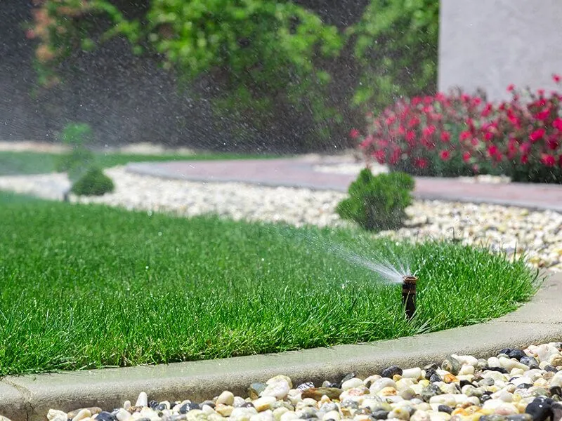 Lawn sprinkler watering green grass, stone border, bushes and flowers in the background.