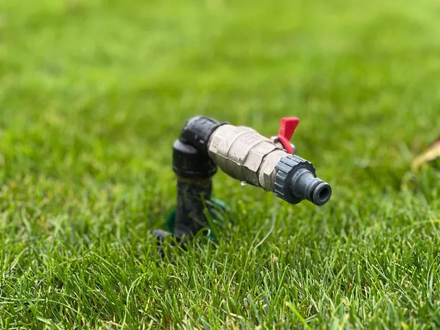 Water spigot with a red handle, set in green grass.