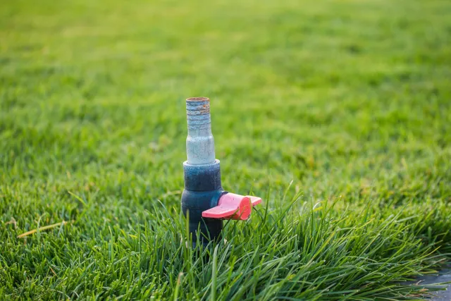Sprinkler head in green grass, with a red valve.