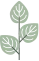 Green leaves on a slender gray stem.