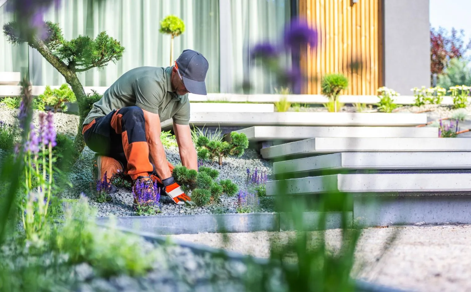 Landscaping maintenance in Prescott AZ