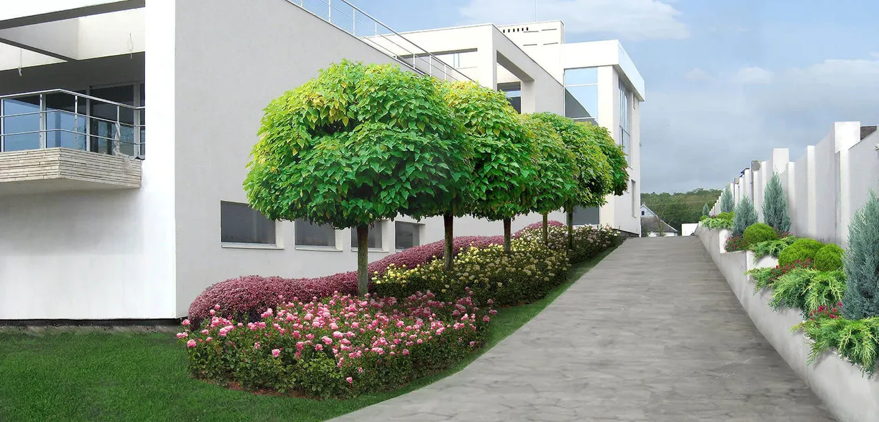 Landscaping in Prescott, AZ