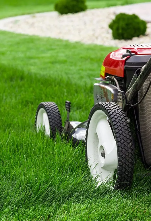 Landscaping maintenance in Prescott AZ
